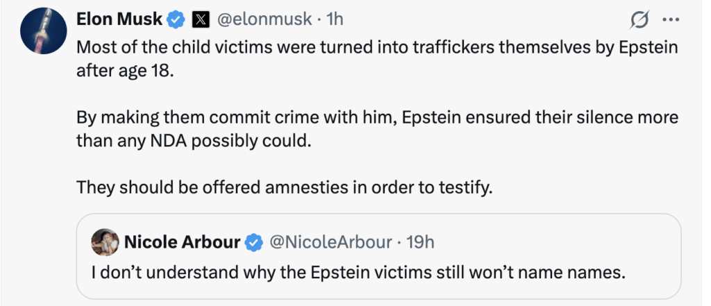 Musk Calls for "Amnesties" for Epstein Victims to Expose High-Profile Associates image 1