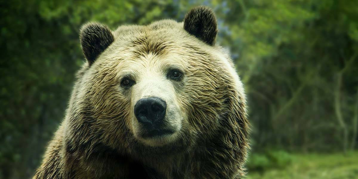 Gallery imageslider background3